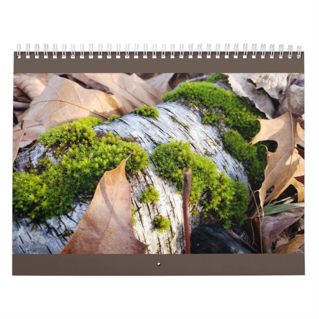 Calendrier botanique (Protection)