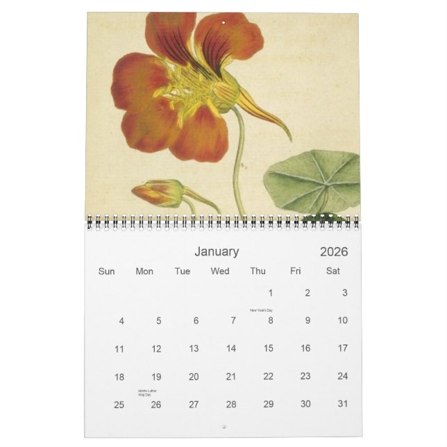 Calendrier botanique antique (Jan 2026)