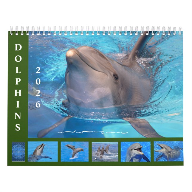 Calendrier Bottlenose dolphins 12 month calendar (Protection)
