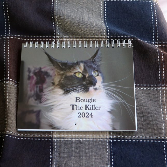 Calendrier Bougie Dilute Calico Maine Coon Chat (Créateur téléchargé)