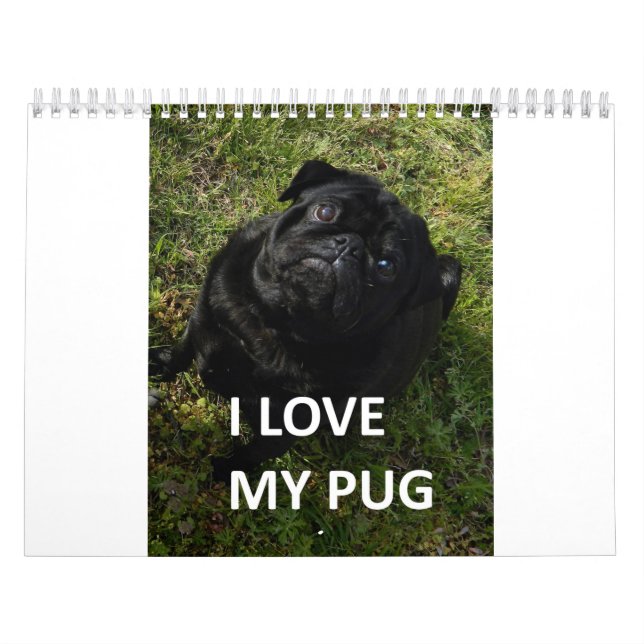 Calendrier Bouledogue (Protection)