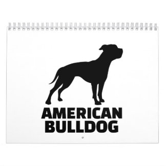 Calendrier Bouledogue américain