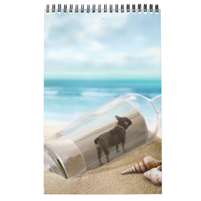 Calendrier bouledogue français superbe collection  (Protection)