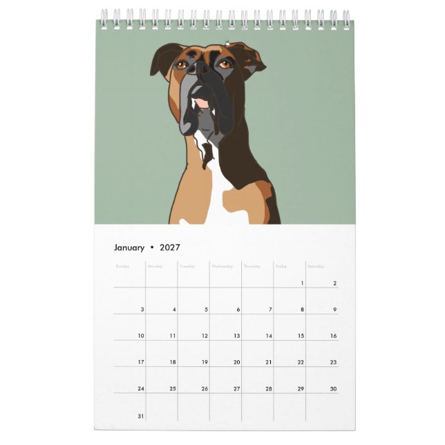 Calendrier Boxer (Jan 2027)