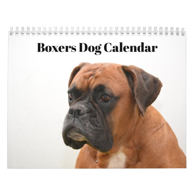 Calendrier Boxers Chiens 2027 (Protection)