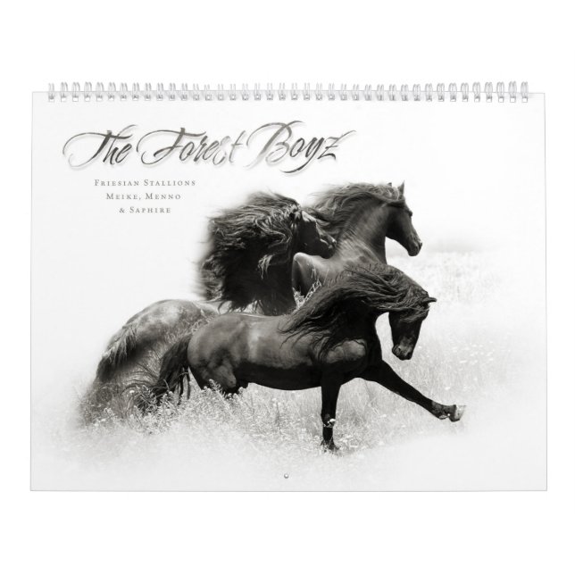 Calendrier Boyz forestier en 2020 (Protection)