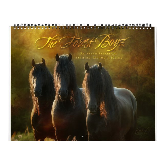 Calendrier Boyz forestier - Terre promise (Protection)