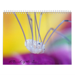Calendrier Branchez-moi sur table d'écoute !