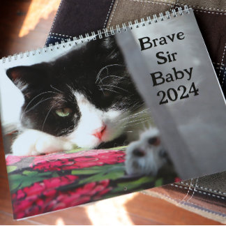 Calendrier Brave Sir Baby