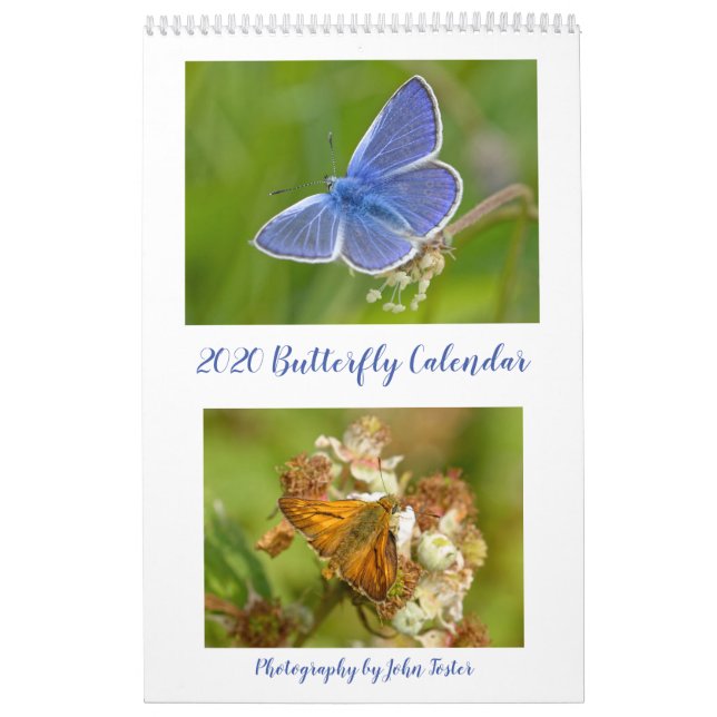 Calendrier British Butterflies 2020 (Protection)