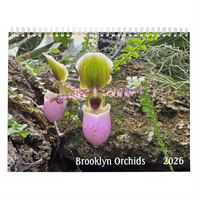 Calendrier Brooklyn Orchids 2026 Calendar (Protection)