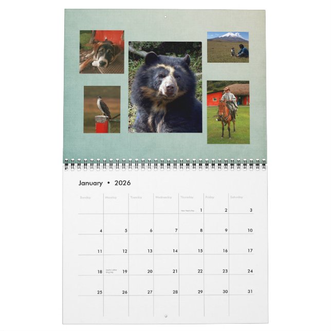 Calendrier Bubu 2011 (Jan 2026)