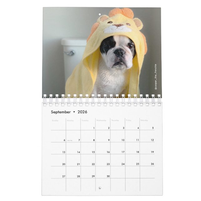 Calendrier Bulldog 2020 français - Cooper le Franç (Sep 2026)