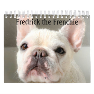 Calendrier Bulldog français - Fredrick le França