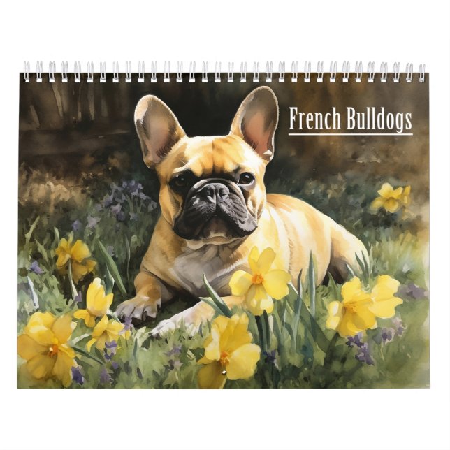 Calendrier Bulldogs français, toute année (Protection)