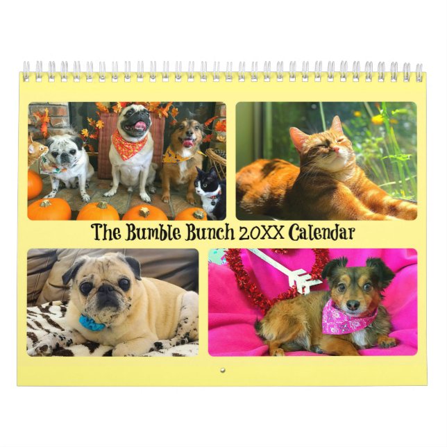 Calendrier Bumble Bunch 2020 (Protection)