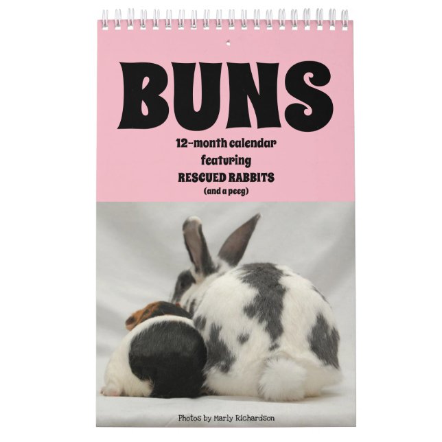 Calendrier Bunny de 12 mois (Protection)