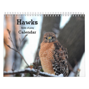 Calendrier Buse à tête blanche