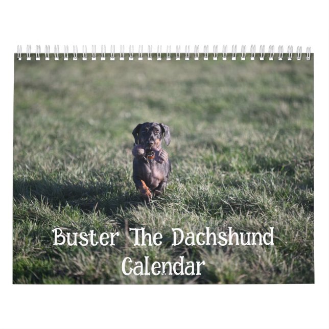 Calendrier Buster le Dachshund (Protection)