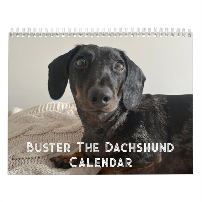 Calendrier Buster le Dachshund (Protection)