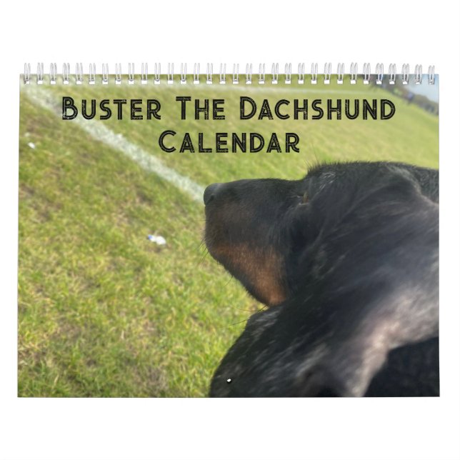 Calendrier Buster the Dachshund (Protection)