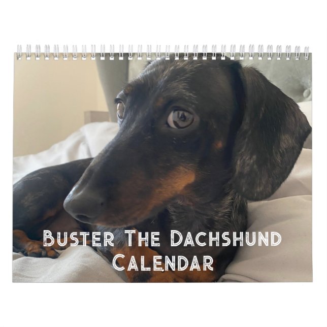 Calendrier Buster the Dachshund (Protection)