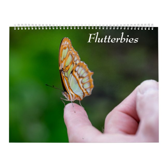 Calendrier Butterflies (Protection)