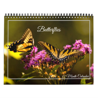 Calendrier Butterflies 12 Month Calendar