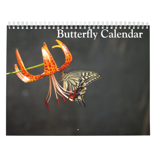 Calendrier Butterflies 2025 (Protection)