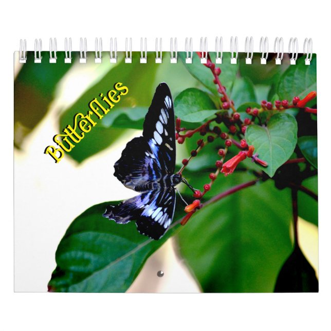 Calendrier Butterfly Calendar (Protection)