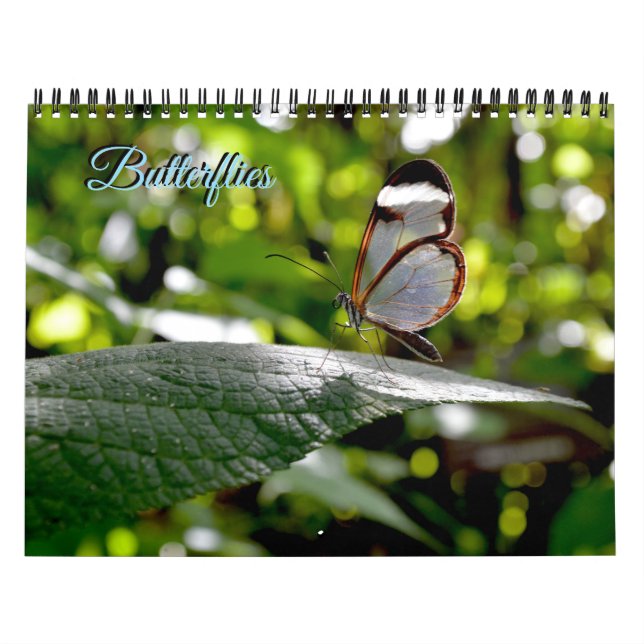 Calendrier Butterfly Calendar (Protection)