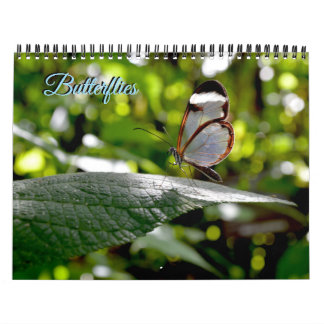 Calendrier Butterfly Calendar