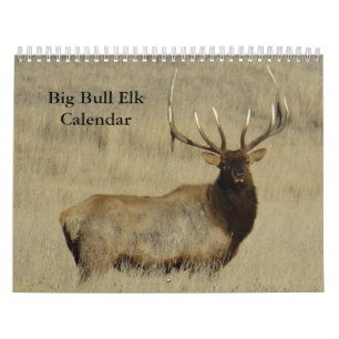 Calendrier C10 Gros Élan Mâle