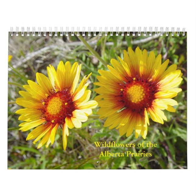 Calendrier C12 Fleurs sauvages des Prairies de l'Alberta (Protection)