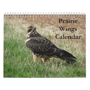 Calendrier C7 Prairie Wings