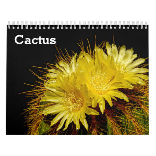 Calendrier Cactus 2025