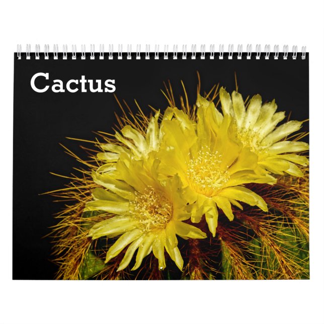 Calendrier Cactus 2025 (Protection)