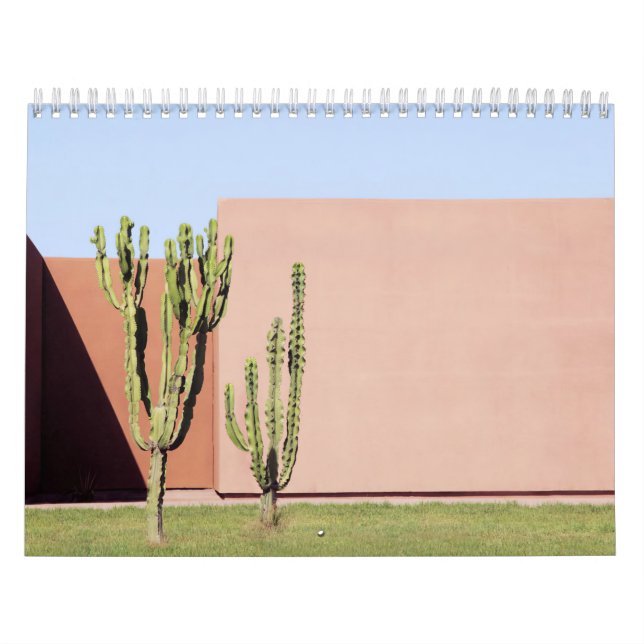 Calendrier Cactus Brothers (Protection)