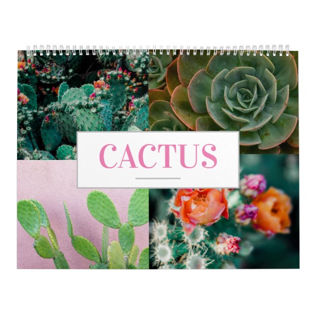 Calendrier Cactus Calendrier Nature Calendrier Acc (Protection)