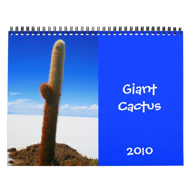 calendrier cactus géant 2010 (Protection)