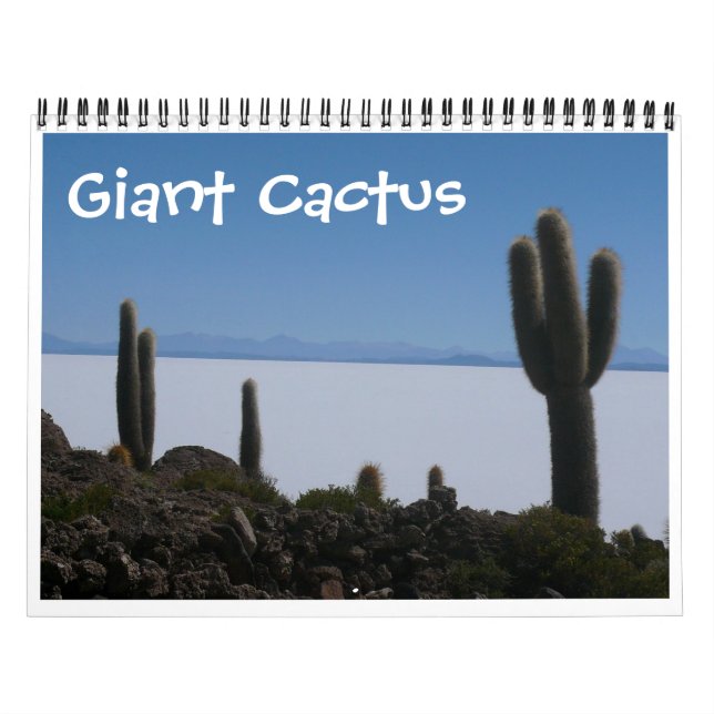 Calendrier cactus géant 2025 (Protection)