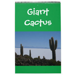 Calendrier cactus géants