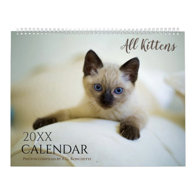 Calendrier Cadeau mignon 2025 Wall Calendar All Kittens (Protection)
