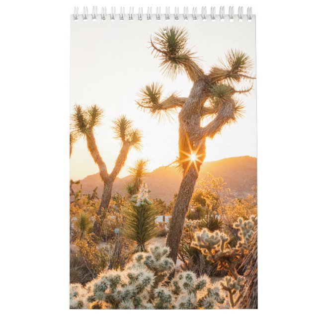 Calendrier Cadeau photo du désert avec Cactus (Protection)