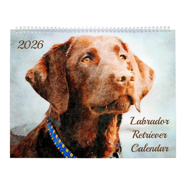 Calendrier Cadeau pour les propriétaires et les amoureux de c (Protection)