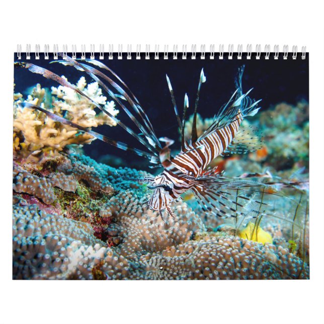 Calendrier Cadeau tropical de mer de corail de la Grande (Protection)