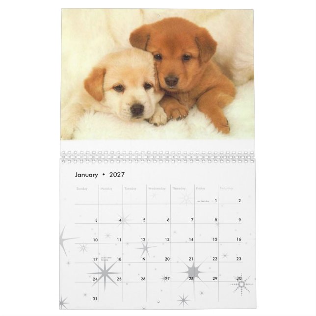 Calendrier Calander de chien (Jan 2027)