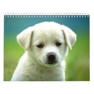 Calendrier Calander de chien