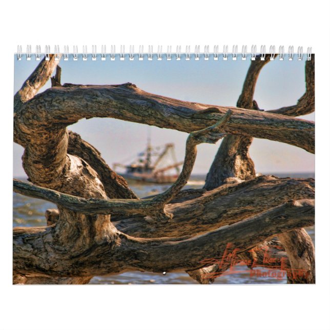 Calendrier Calander de plage de bois de flottage (Protection)