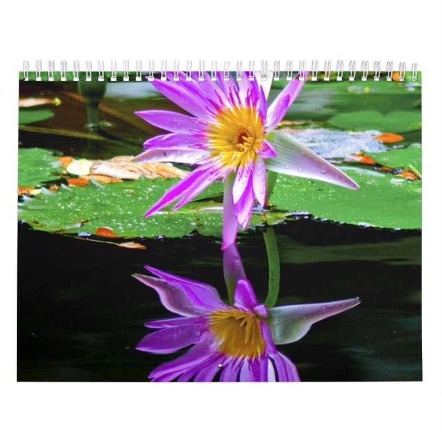 Calendrier Calandre (Protection)